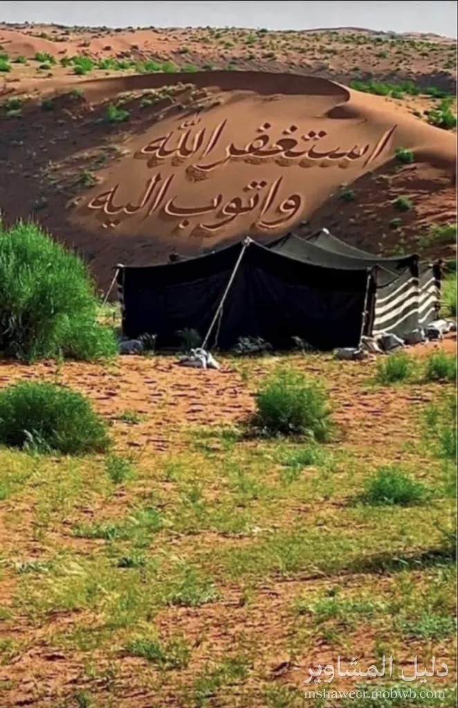 صورة سيارة فهد – فورد اكسبيديشن 2013