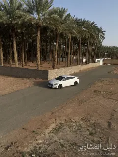 صورة فهد 